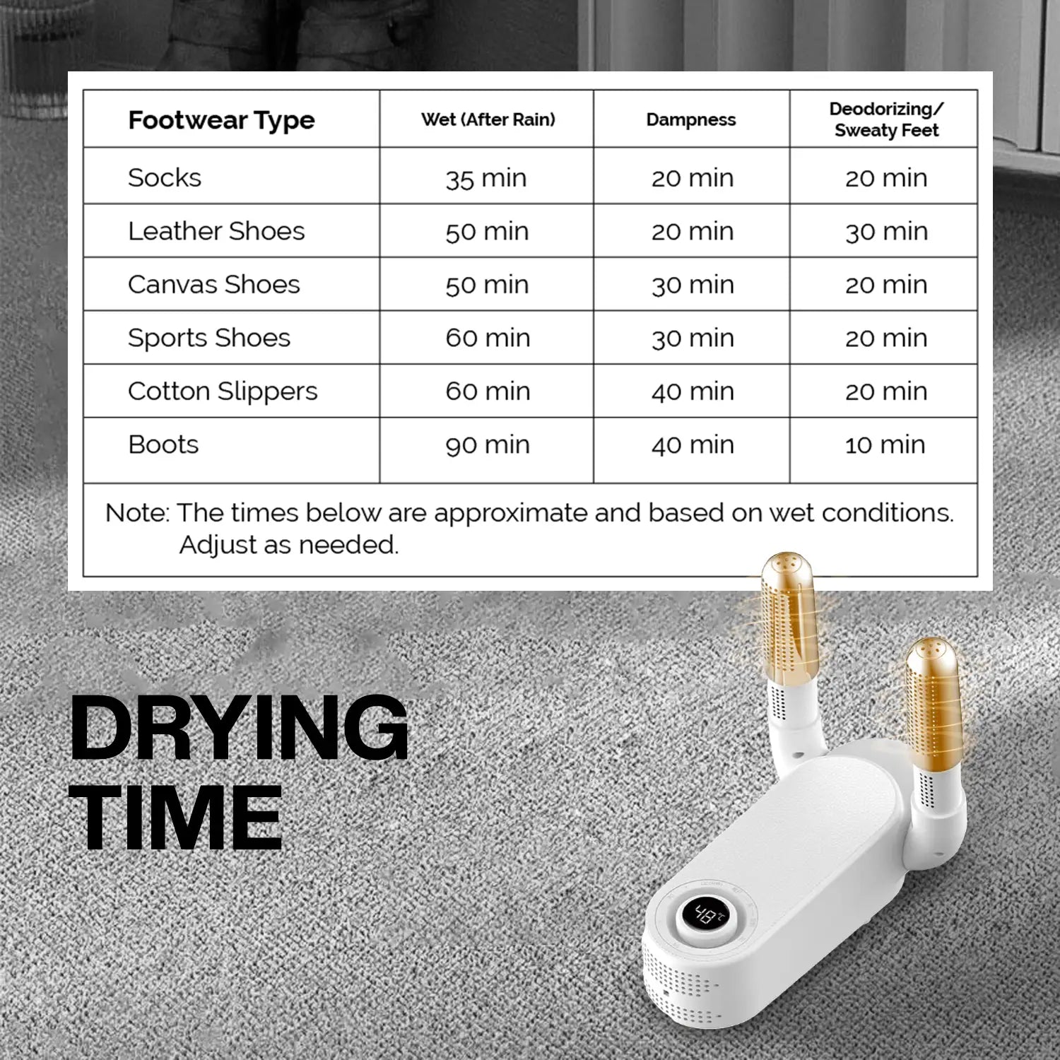 Portable Shoe Dryer